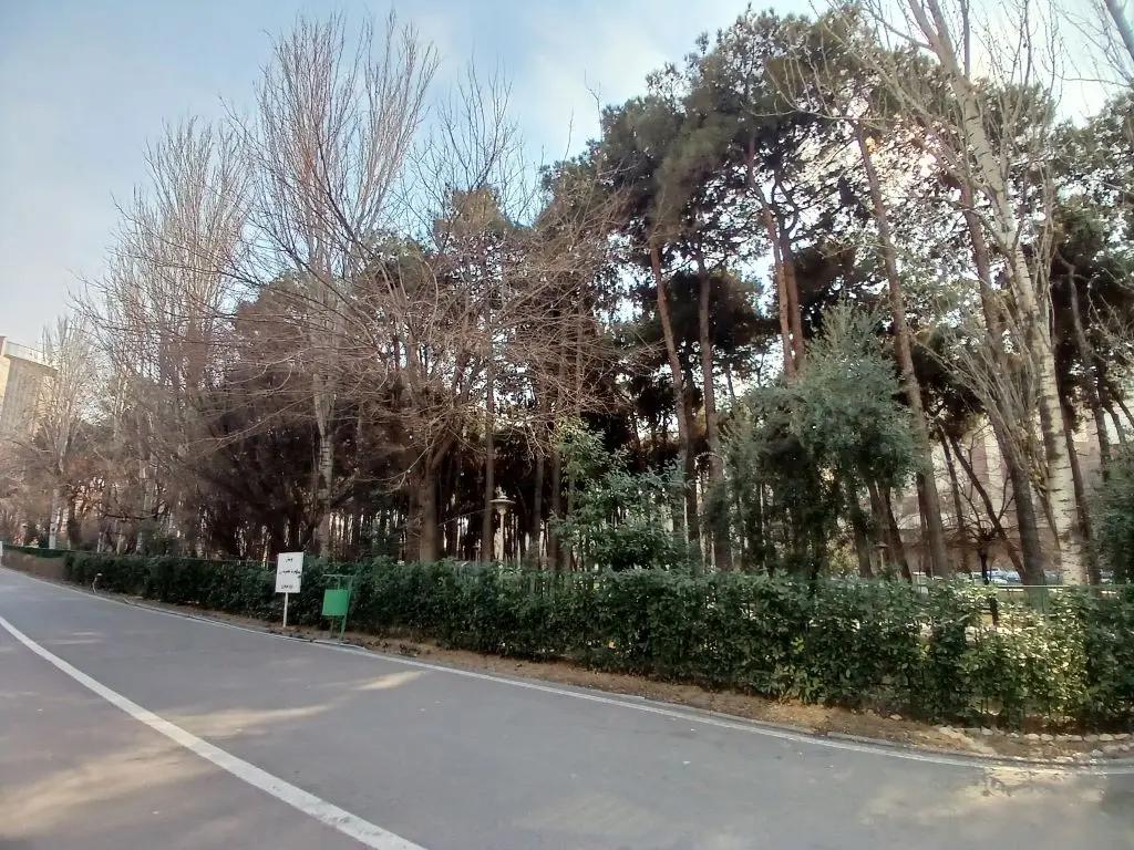 Green space inside Iran University of Science and Technology campus